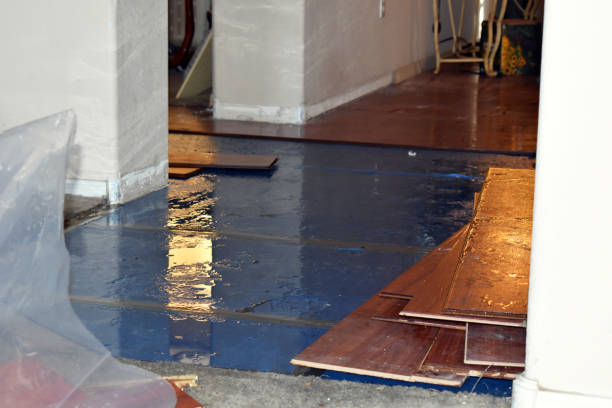 Professional Burst Pipe Cleanup technician working in Highlands, NC